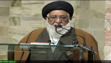 Hamas is Symbol of Palestine’s Freedom — Ayatollah Hafiz Riaz Hussain Najafi