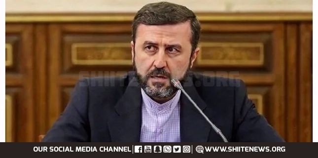 SCO, BRICS, NAM opposed to return of international sanctions against Iran: Diplomat