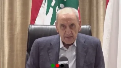 Speaker Berri Israeli Attack on Msayleh Targets Entire Lebanon