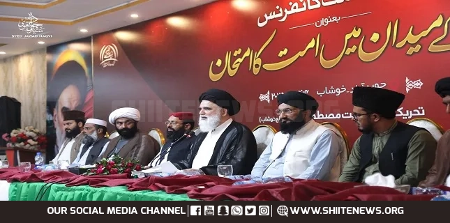 Gaza Tragedy Is a Test for Entire Muslim Ummah and Humanity, Allama Jawad Naqvi