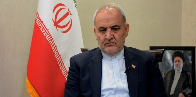 Iranian People Capable of Overcoming Every Crisis: Iranian Ambassador