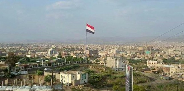 Sanaa says UN resolution on cattacks ignores facts