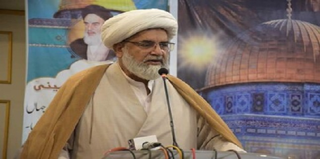 Senator Allama Raja Nasir Abbas Jaffari Slams Pakistani Media