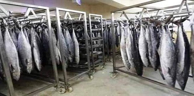 UAE-linked companies begin evacuating activities in Socotra amid signs of regional influence shifts