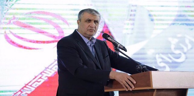 Iran’s progress ‘miraculous, extraordinary’ despite sanctions: Nuclear chief