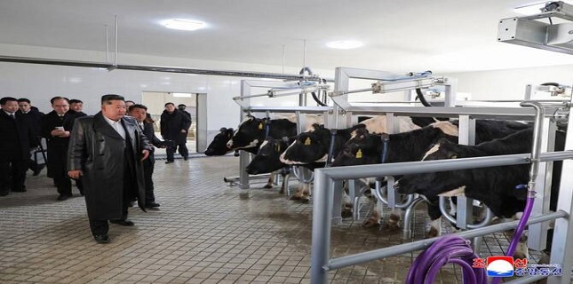 ‘New progress’ on North Korea possible in coming days, Seoul official says