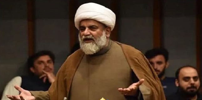 Senator Raja Nasir Abbas Condemns Shooting of Pro Khamenei Protesters