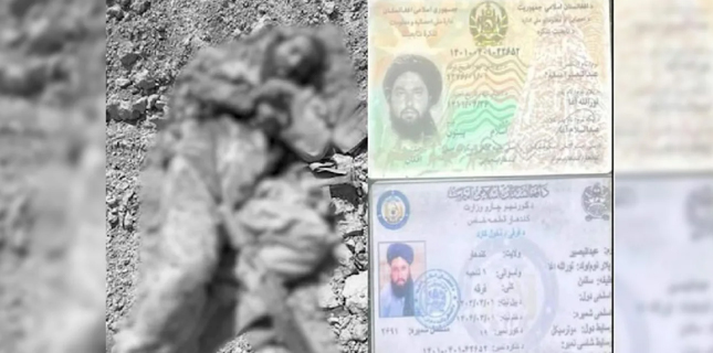 Afghan Militant Commander Basir Killed in Security Forces Operation