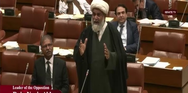 Allama Raja Nasir Abbas Demands Action Over Deportation of Pakistanis from UAE