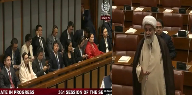Senator Raja Nasir Abbas Jafri Welcomes High-Level Chinese Delegation at Senate