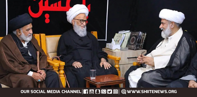 Senator Raja Nasir Abbas Jafri Meets Grand Ayatollah Bashir Hussain Najafi in Najaf