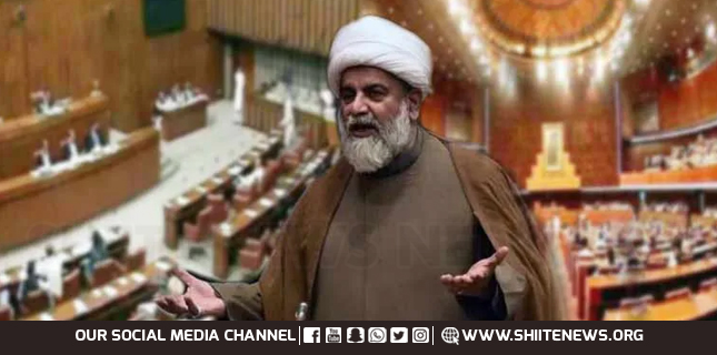 Ansar Allah Hassni Sadat Senator Raja Nasir Abbas Jafari Declares Houthis True Muslims